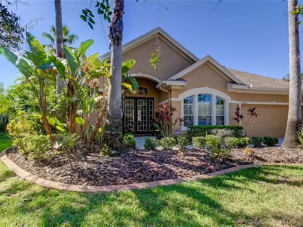 10448 Greendale Dr, Tampa, FL 33626