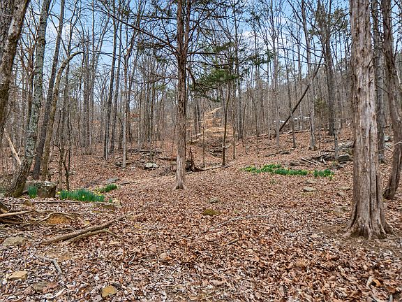 4th image of LOT 8 Raulstontown Rd