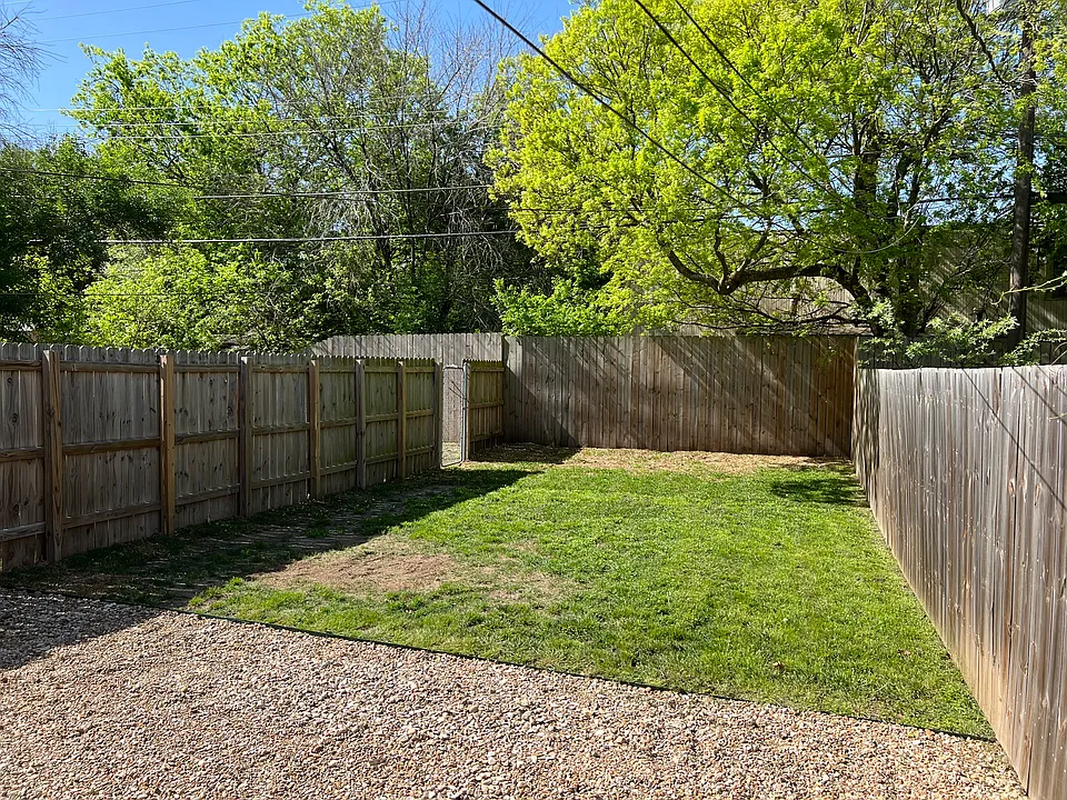 Back yard 2
