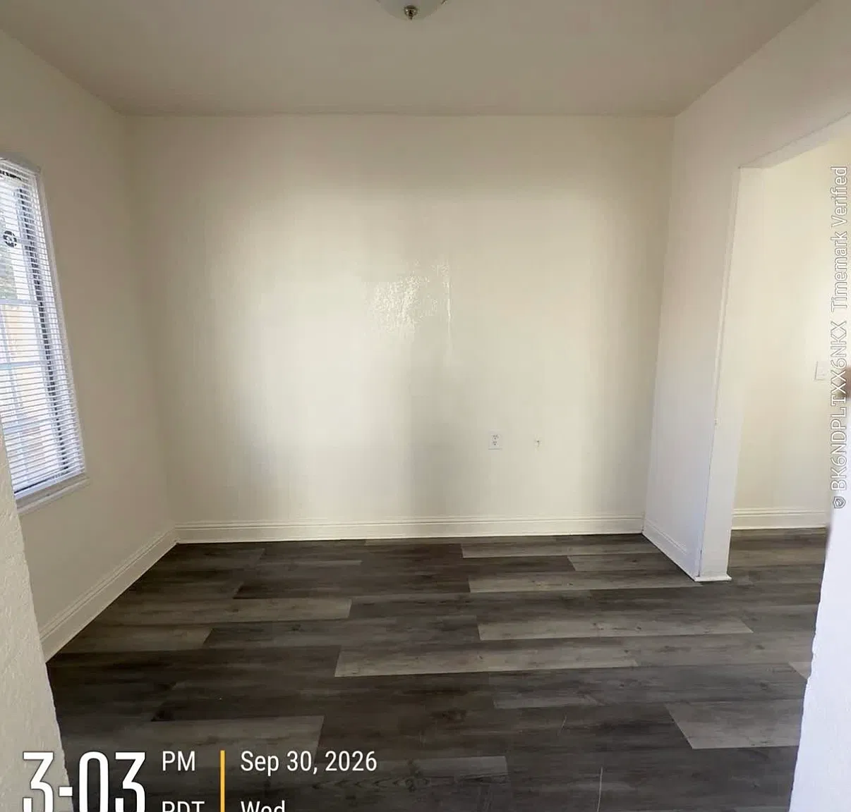 1 bed, $895 — Photo 2