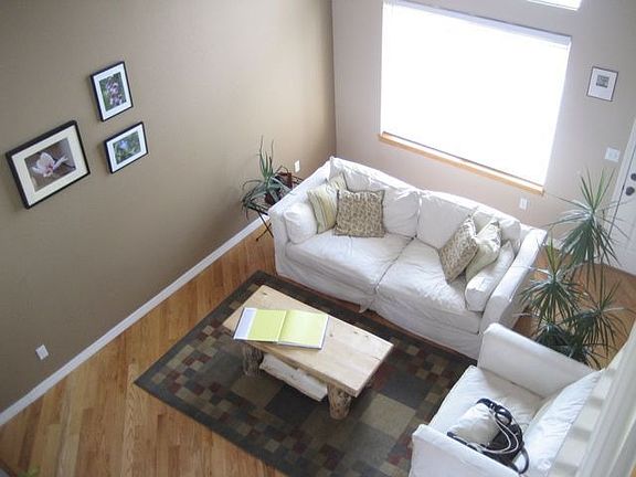 lots of natural light