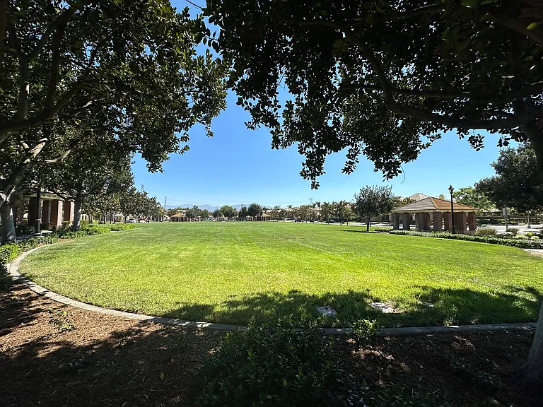 Park across the street