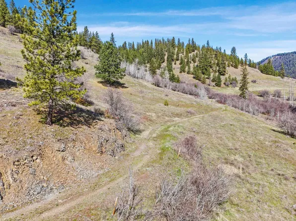 30XX Pierre Lake Rd, Kettle Falls, WA 99141