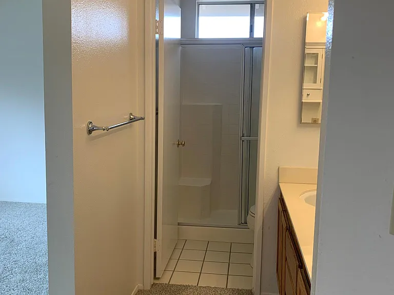Master Bedroom Shower