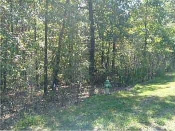 3rd image of 3463 Bella Vista Way