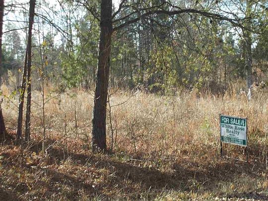 2nd image of 1025 Turkey Creek Ridge Rd