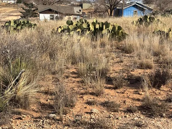 504 S 10th St, Brownfield, TX 79316