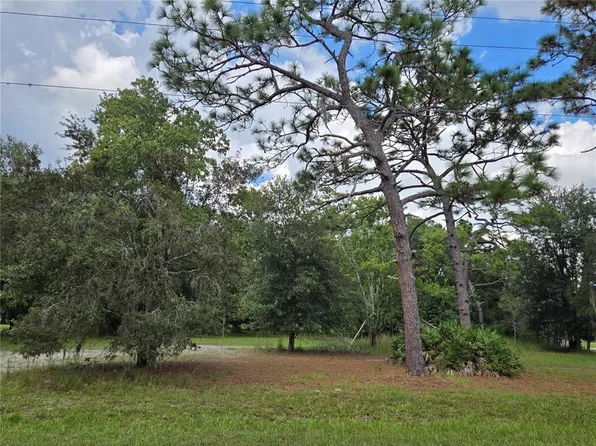 17901 Driftwood Ln Lot 236, Lutz, FL 33558