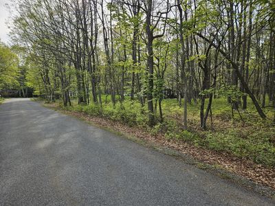 Berry Ln, Jim Thorpe, PA, 18229