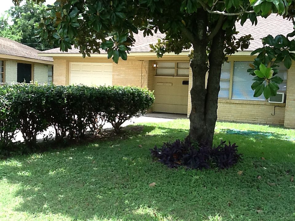 Front yard mature landscape 