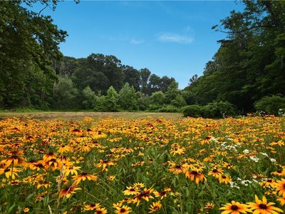 781 Chagrin River Rd, Gates Mills, OH, 44040