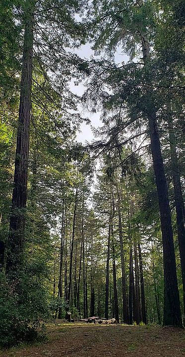 Building site facing ocean