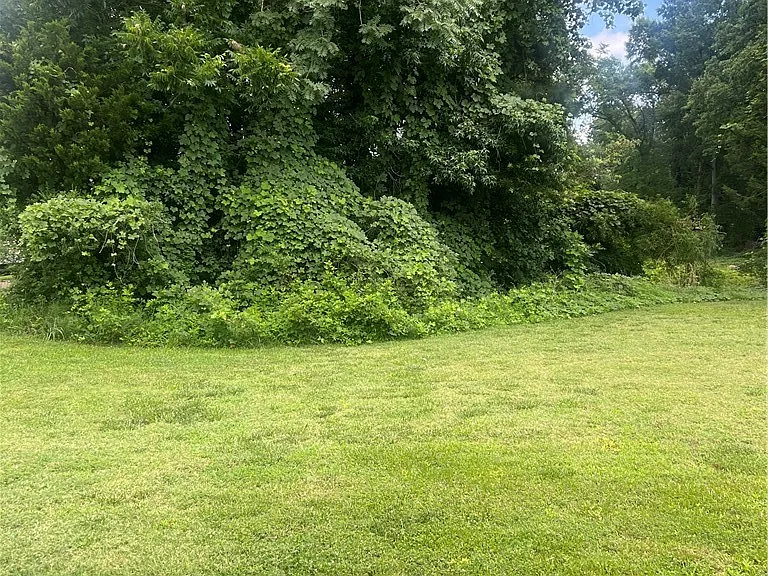 1011 Liberty Ave #A — Photo 6