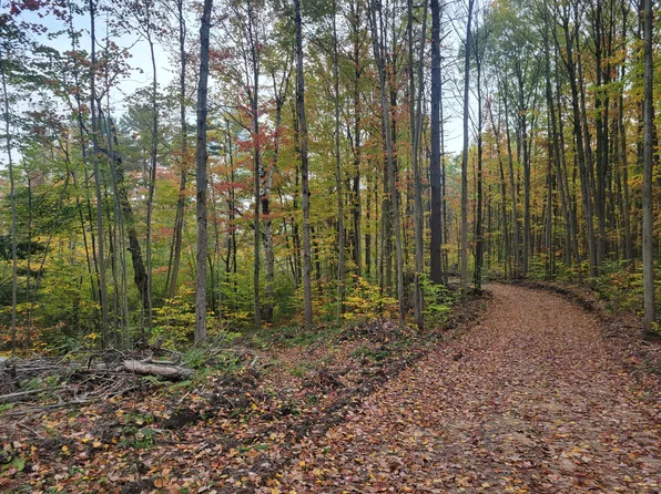 East Rd #22-3/4, Manton, MI 49663