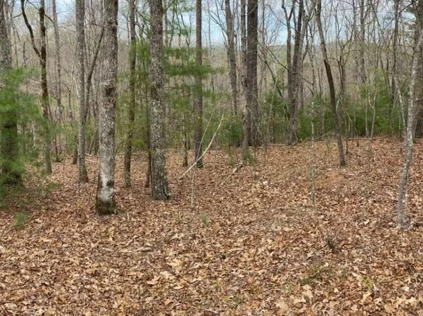 4 Oak Crest Dr, Morganton, GA 30560