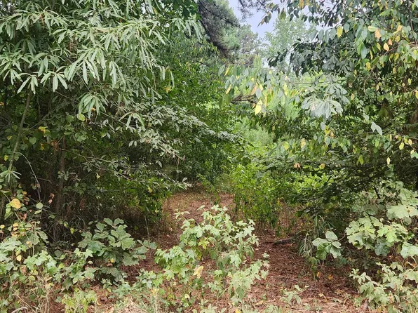 544 Albany Rd, Star City, AR 71667