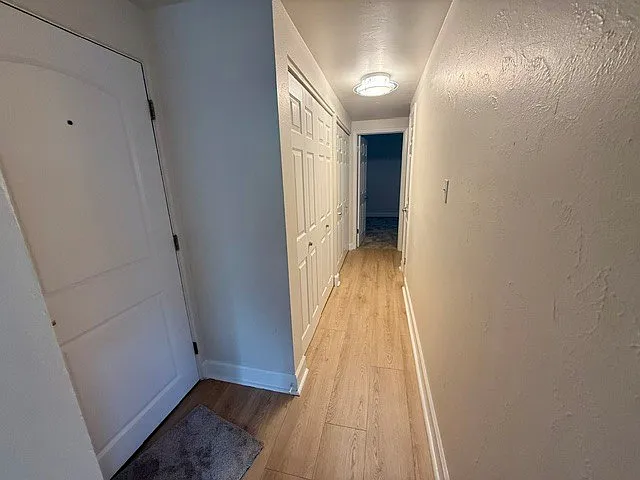 1 bed, 585 sqft, $1,100 — Photo 3