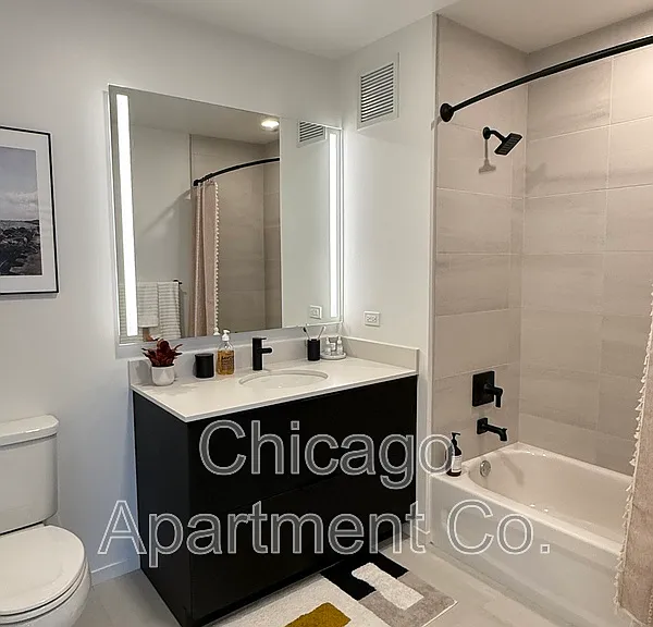 224 N Elizabeth St #411 — Photo 7