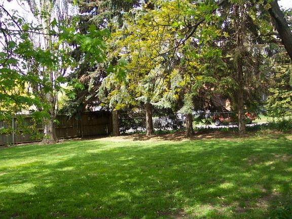 5th image of 513 Phelps Ave
