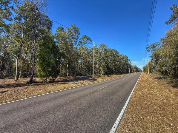TBD NW Old Fanning Rd, Trenton, FL 32693