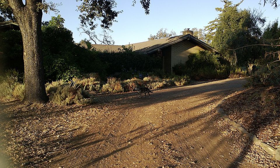 2nd image of 930 Helena Ave
