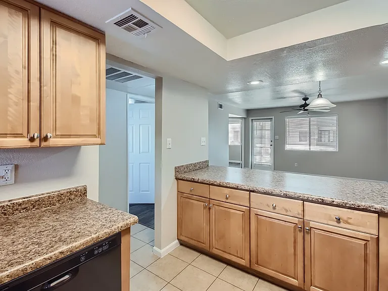 Rise Desert Cove — Photo 36