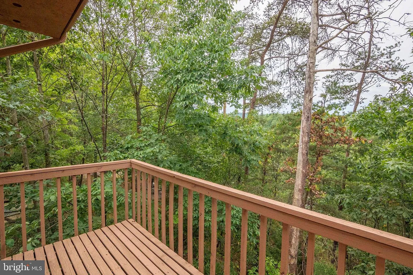 2 bed, 1118 sqft, $1,600 — Photo 3