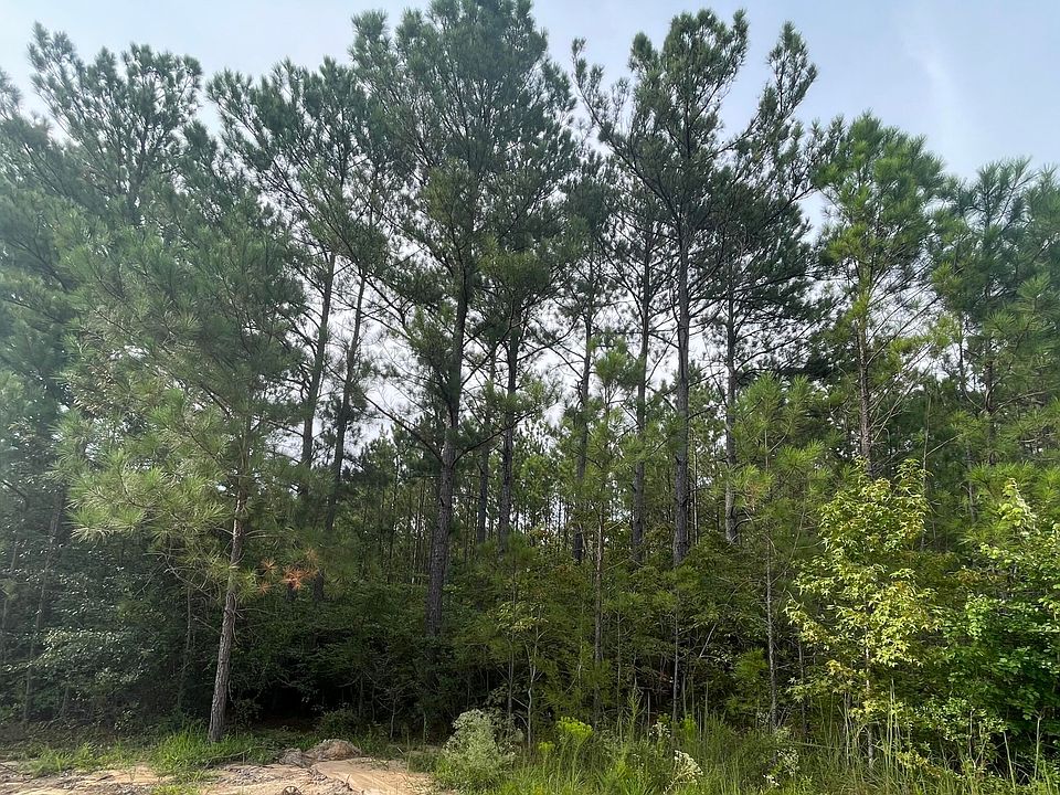 1st image of 329 Summer Creek Trl