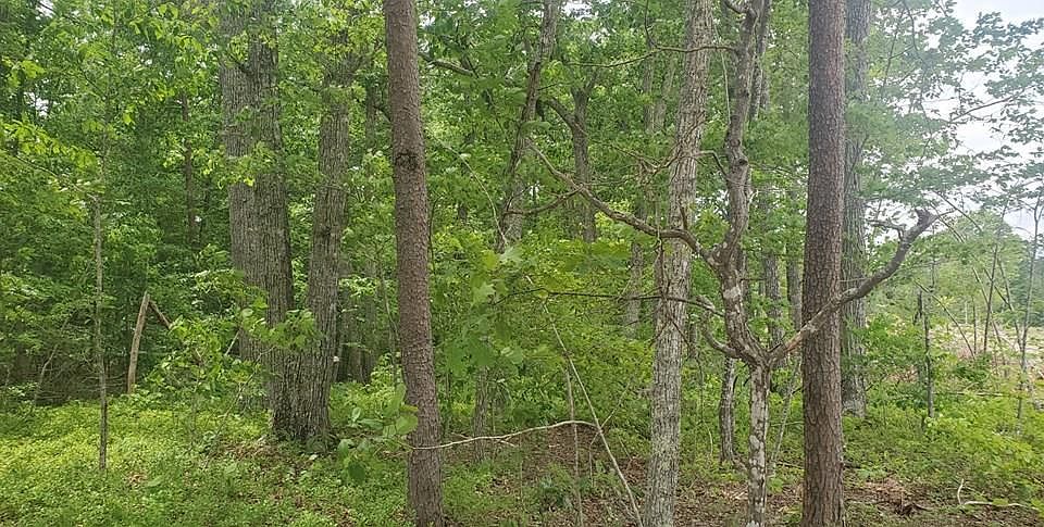 1st image of Mohansky Ln