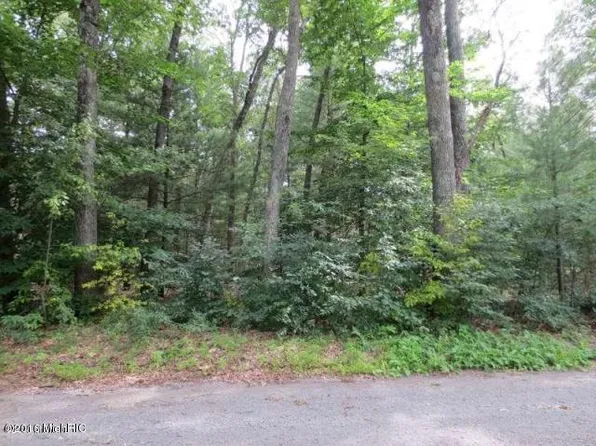 Baker St, Twin Lake, MI 49457