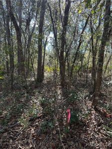 11716 W Caladium St, Crystal River, FL, 34428