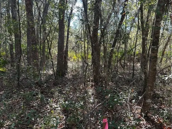 11716 W Caladium St, Crystal River, FL 34428