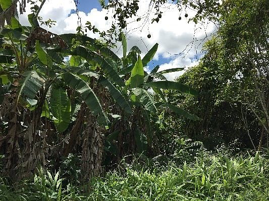 2nd image of 2159 Ainaola Dr Lot 1410