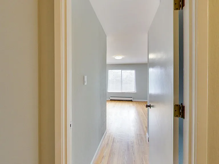 205 Collins St #4 — Photo 15