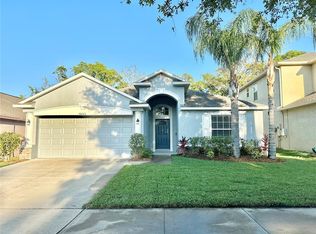 10223 Summer Azure Dr, Riverview, FL 33578