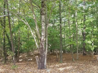 97 Horseshoe Hill Lane, Carthage, NC, 28327