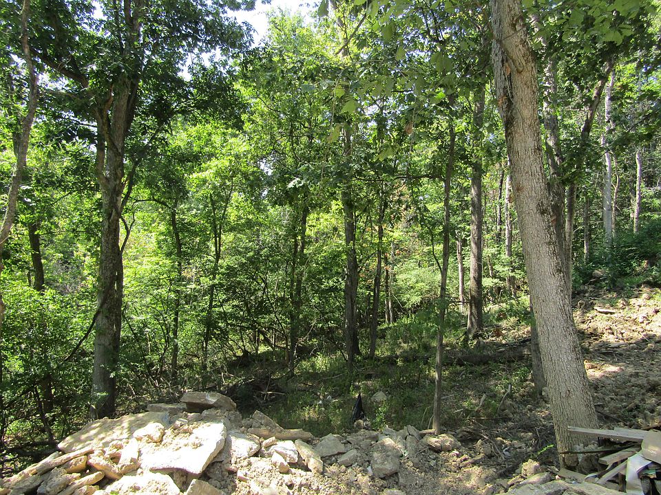2nd image of 0 Burnet Rdg