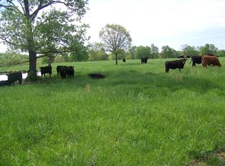 20108 Highway K, Falcon, MO 65470