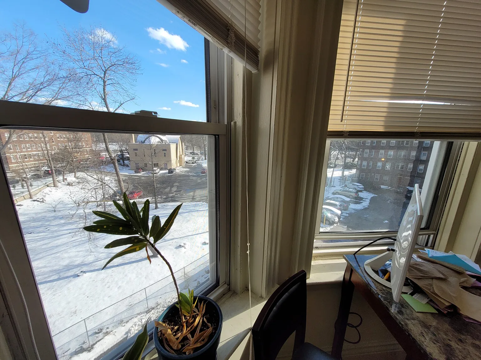 1 bed, 1.0 bath, $2,650 — Photo 2