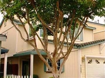 1st image of 7227 Kallie Kay Ln