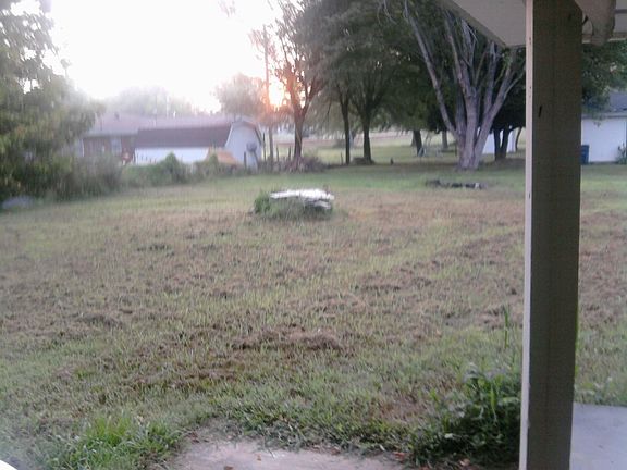 A view of the back yard