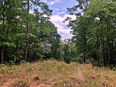 125 Adisi Rdg, Murphy, NC, 28906