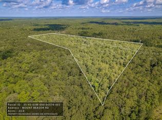 Xx Mount Beasor Rd, Sopchoppy, FL 32358