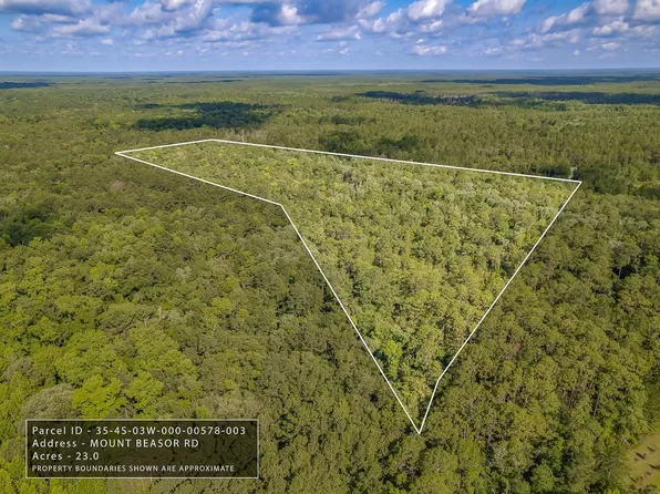 Xx Mount Beasor Rd, Sopchoppy, FL 32358