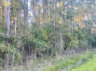 653 Bryant Landing Rd, Wewahitchka, FL 32465