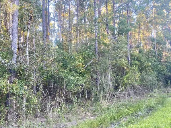 653 Bryant Landing Rd, Wewahitchka, FL 32465