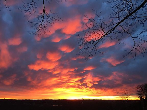unretouched view from bedroom