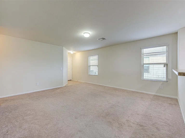 1315 Pease River Ln — Photo 5