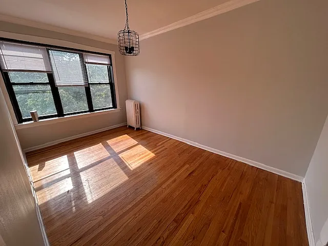 7231 N Sheridan Rd #2 — Photo 4
