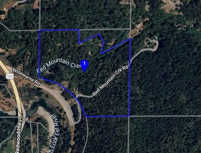 300 Rosewarne Rd, Piercy, CA, 95587